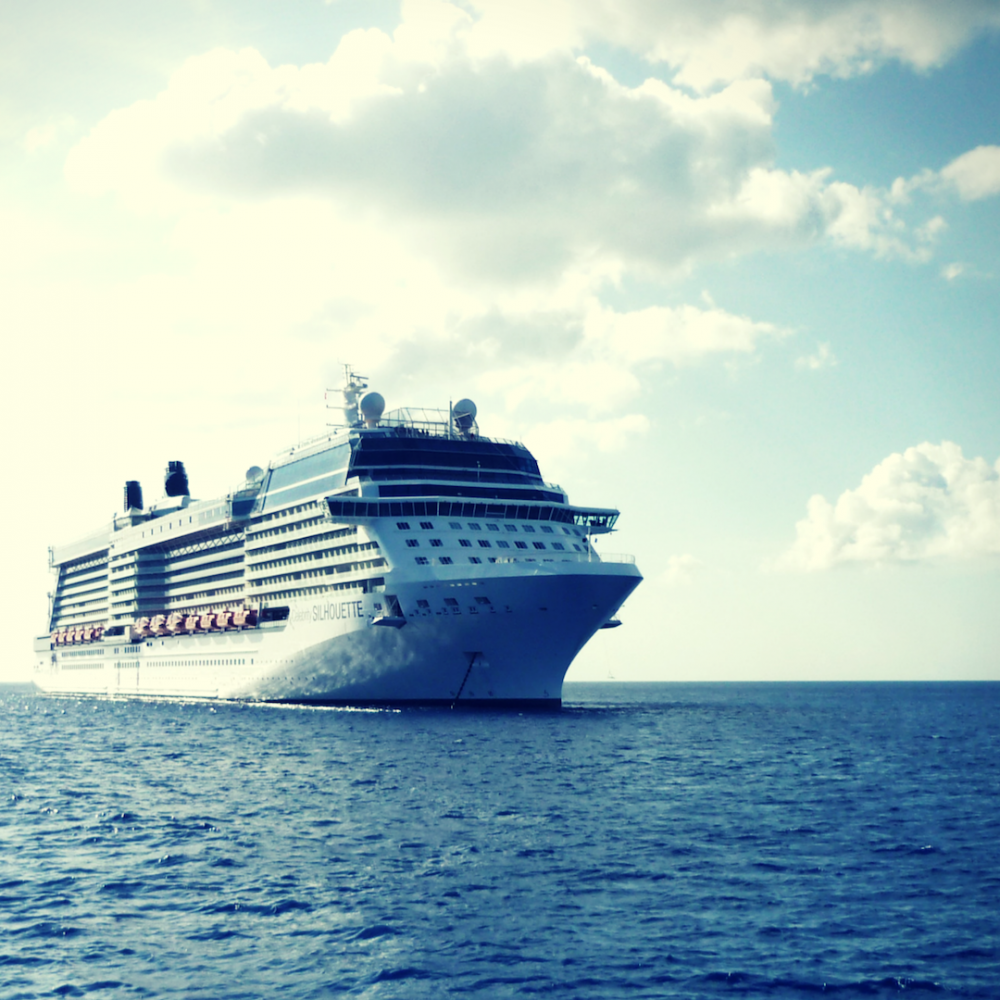 Why Every Entrepreneur Needs a Cruise Director